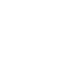 custom web development
